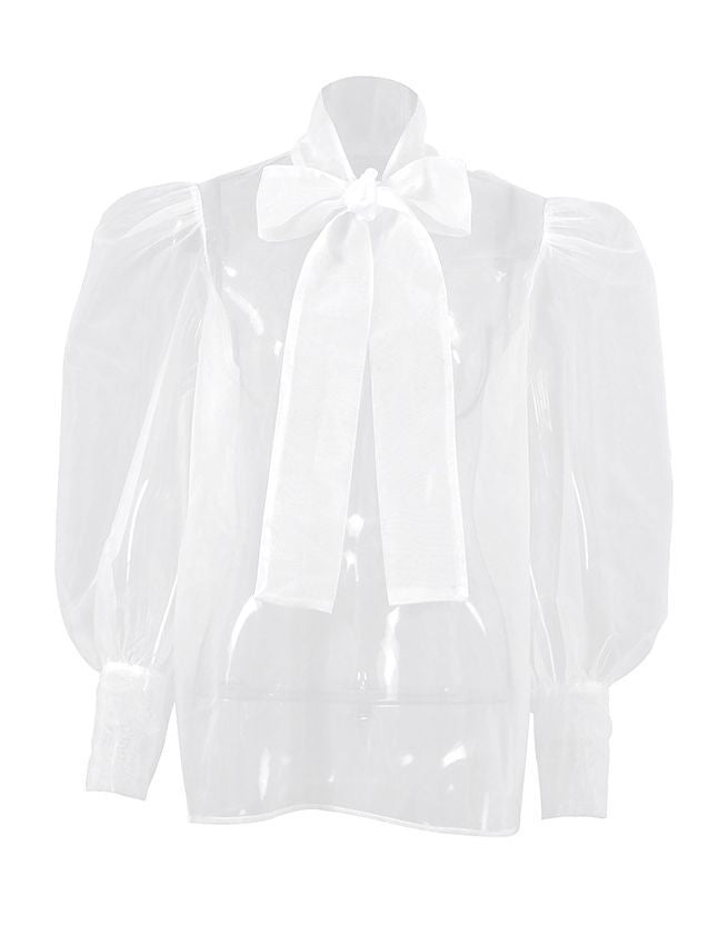 Spring European and American sexy perspective mesh long-sleeved top